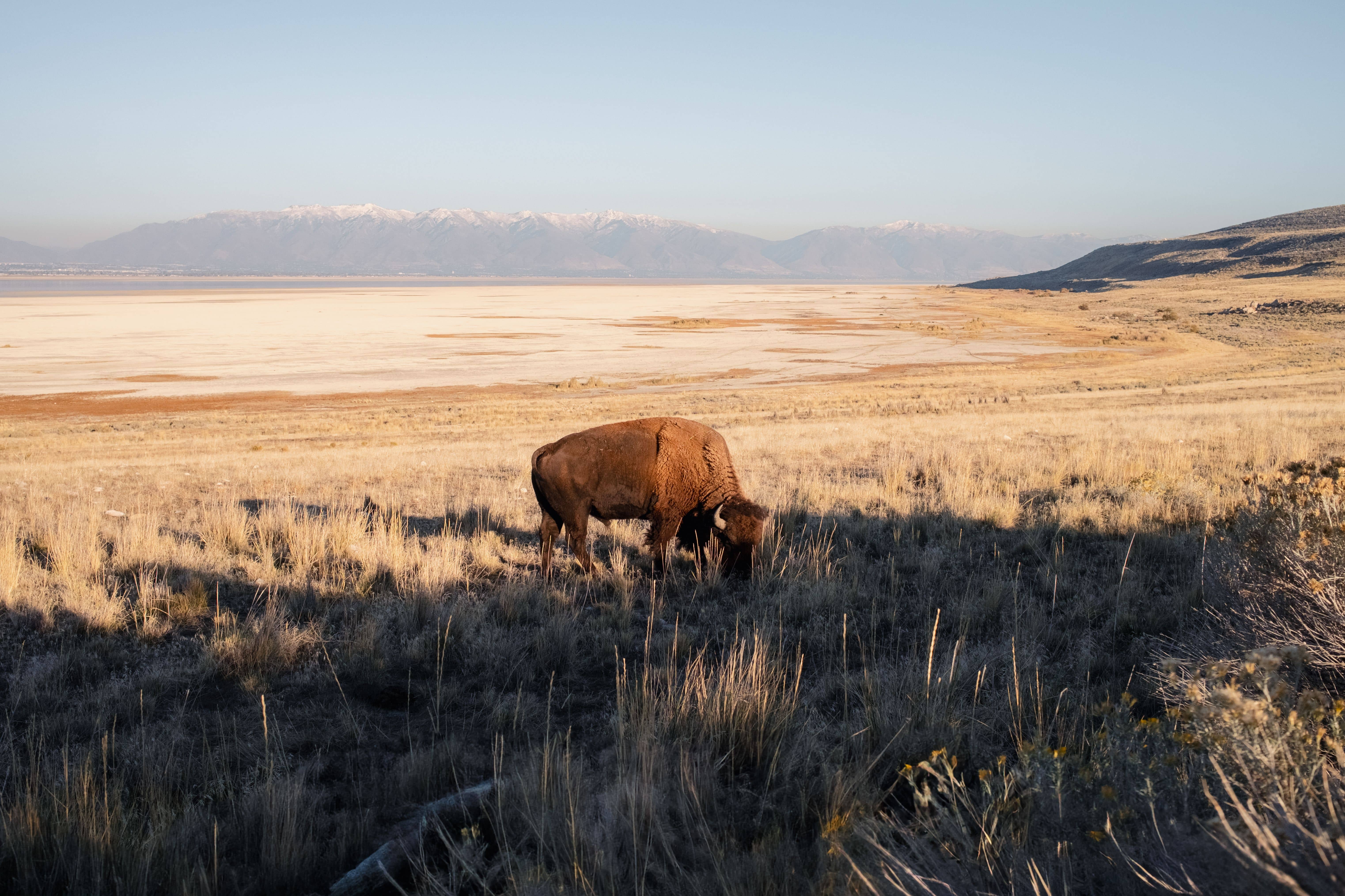 Ash Meadows scenic view 1