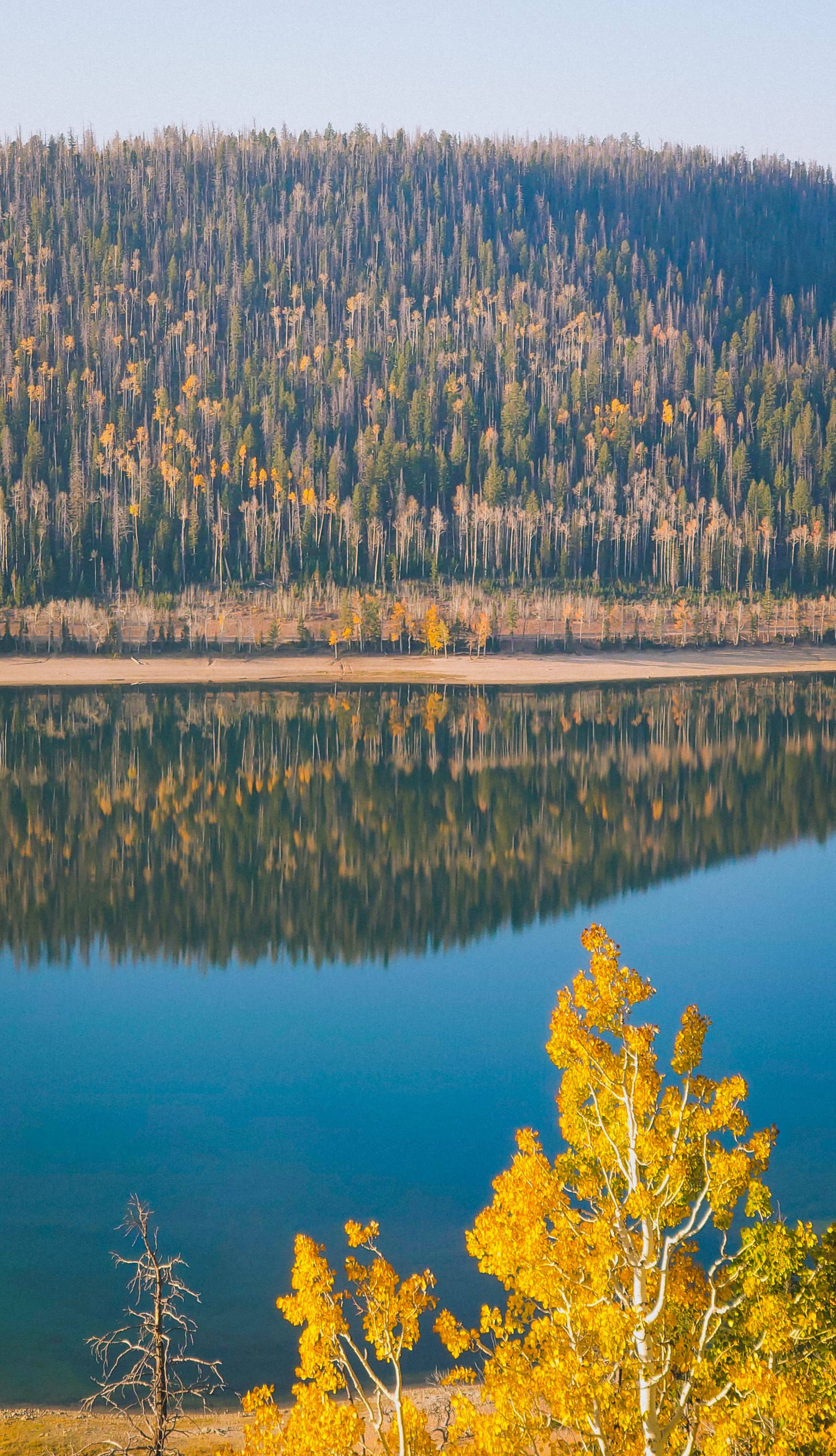Fish Lake National Forest scenic view 1