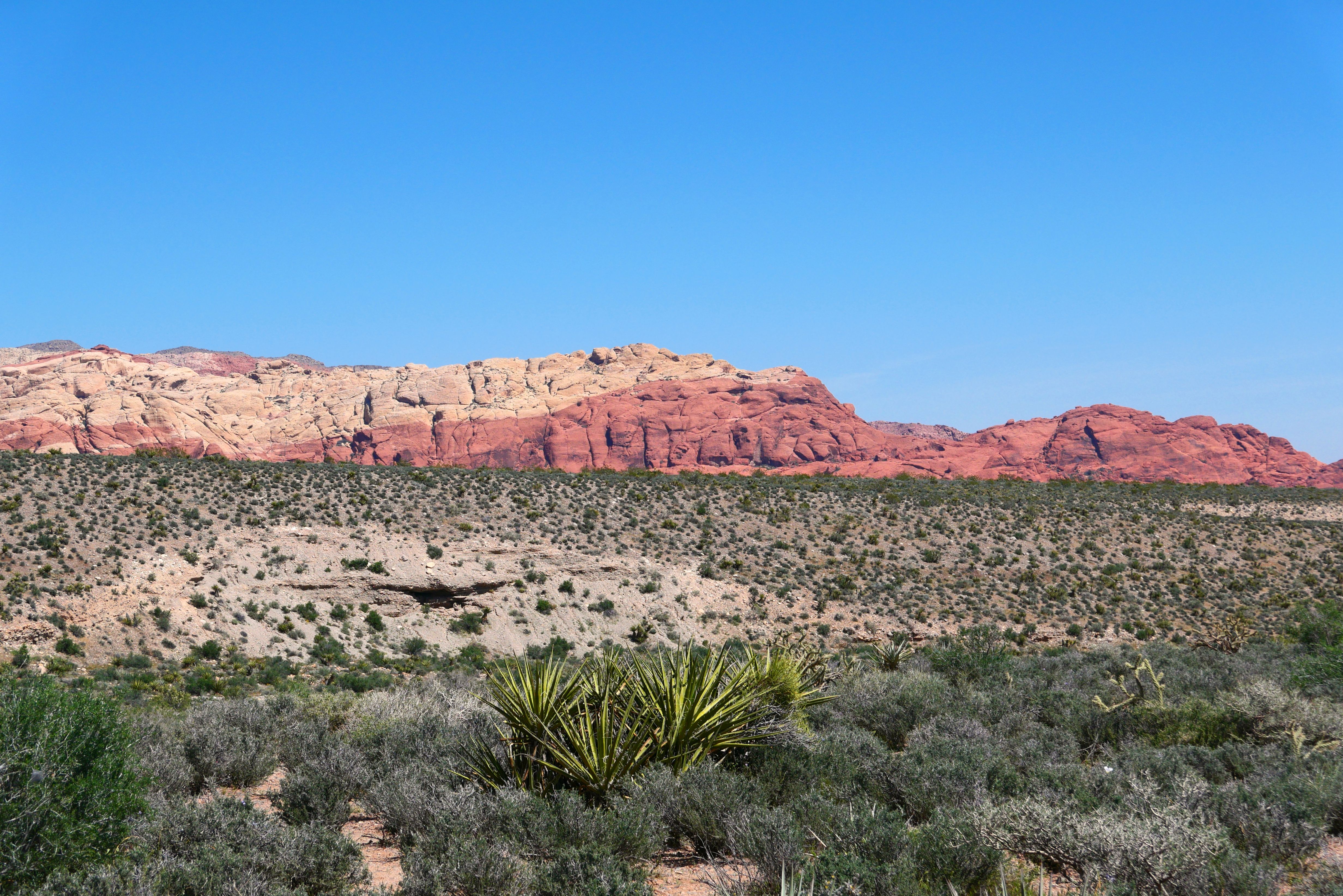 Red Rock Canyon scenic view 1
