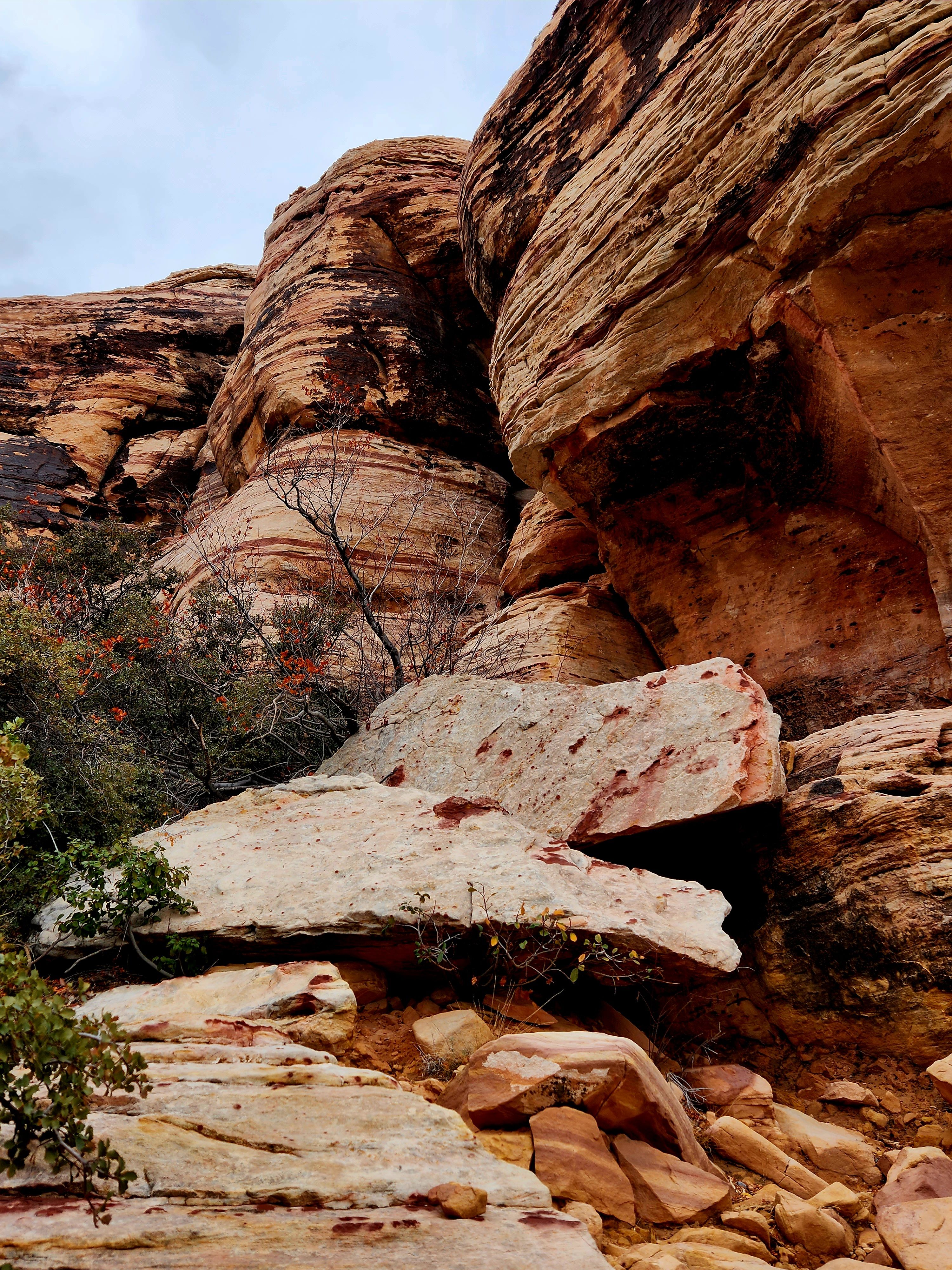 Red Rock Canyon scenic view 3