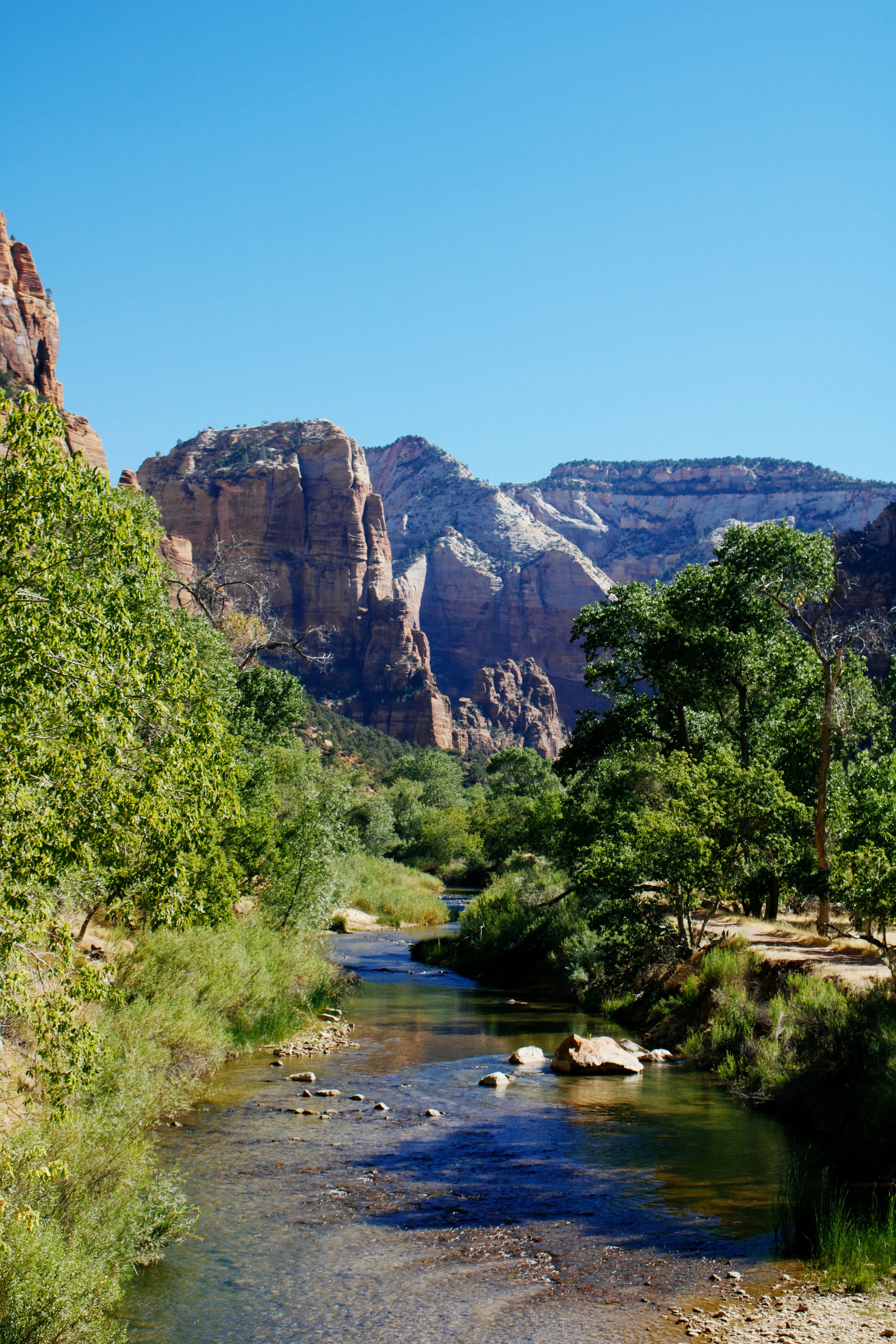 Majestic towering red and white cliffs of Zion National Park in Utah